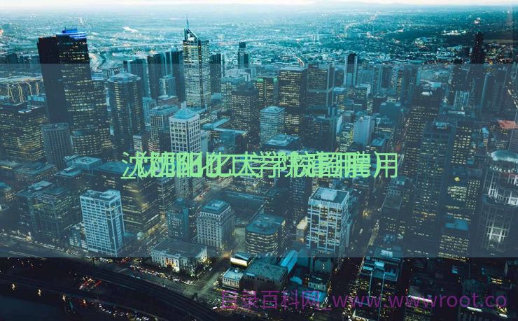 沈阳化工大学校园雇用
_沈阳化工学院雇用
（沈阳化工学院招聘）