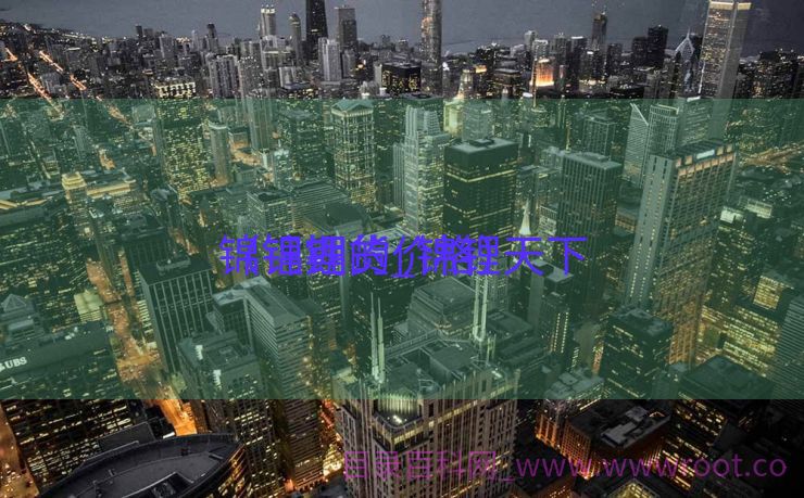 锦锂期货_锦锂天下
（锦锂的价格）