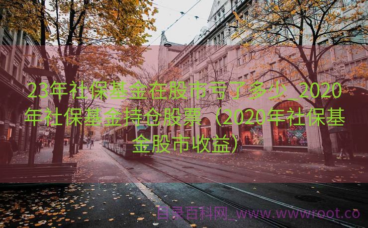 23年社保基金在股市亏了多少_2020年社保基金持仓股票（2020年社保基金股市收益）