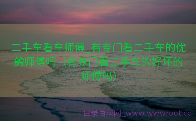 二手车看车师傅_有专门看二手车的优劣
的师傅吗（有专门看二手车的好坏的师傅吗）