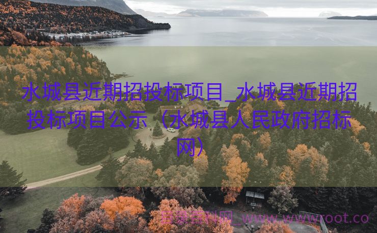 水城县近期招投标项目_水城县近期招投标项目公示（水城县人民政府招标网）