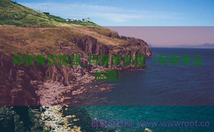 母婴餐饮加盟_母婴类加盟（母婴食品加盟）