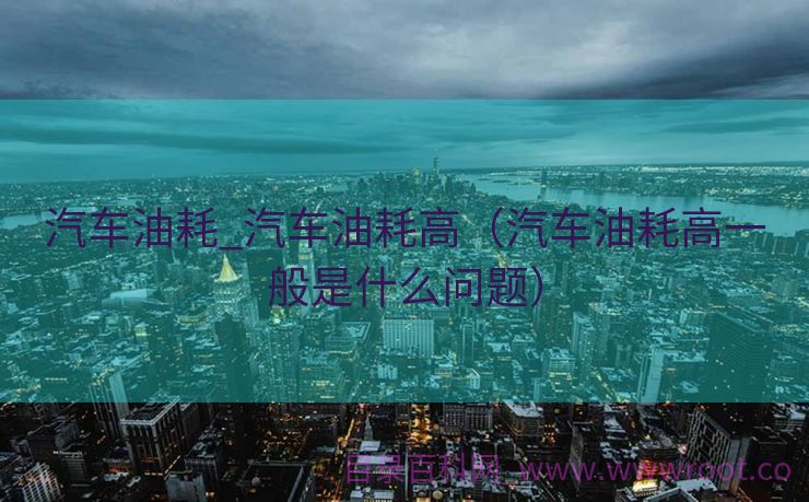 汽车油耗_汽车油耗高（汽车油耗高一般是什么问题）