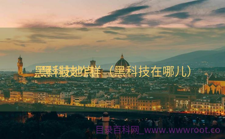 黑科技地点
_黑科技咋样（黑科技在哪儿）