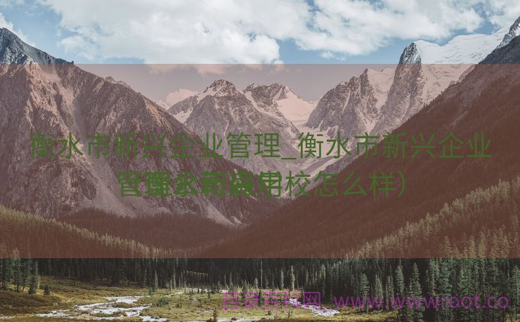 衡水市新兴企业管理_衡水市新兴企业管理公司雇用
（衡水新兴学校怎么样）