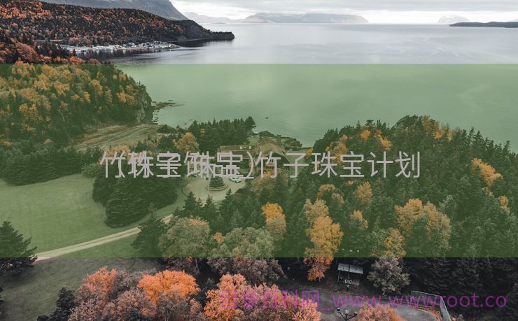 竹珠宝饰品_竹子珠宝计划
（竹子 珠宝）