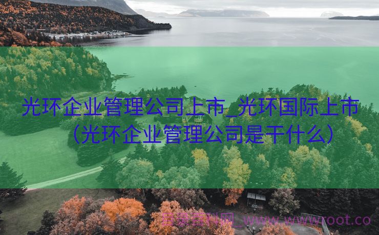 光环企业管理公司上市_光环国际上市（光环企业管理公司是干什么）