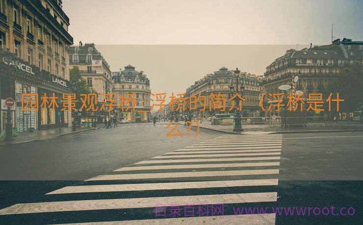 园林景观浮桥_浮桥的简介（浮桥是什么?）