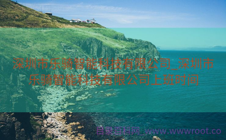 深圳市乐骑智能科技有限公司_深圳市乐骑智能科技有限公司上班时间