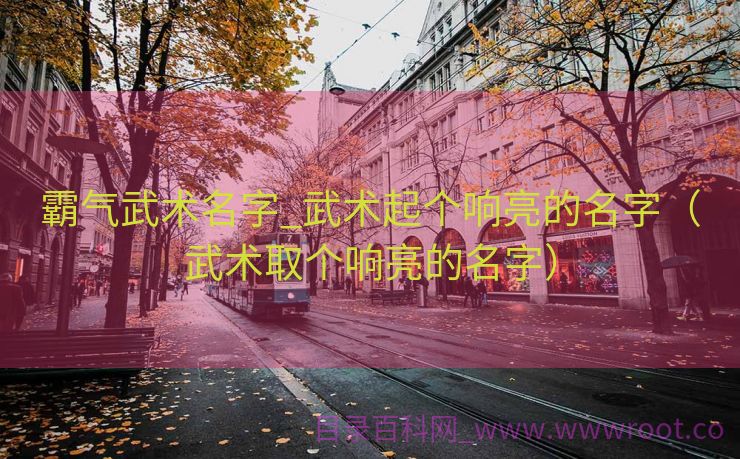 霸气武术名字_武术起个响亮的名字（武术取个响亮的名字）