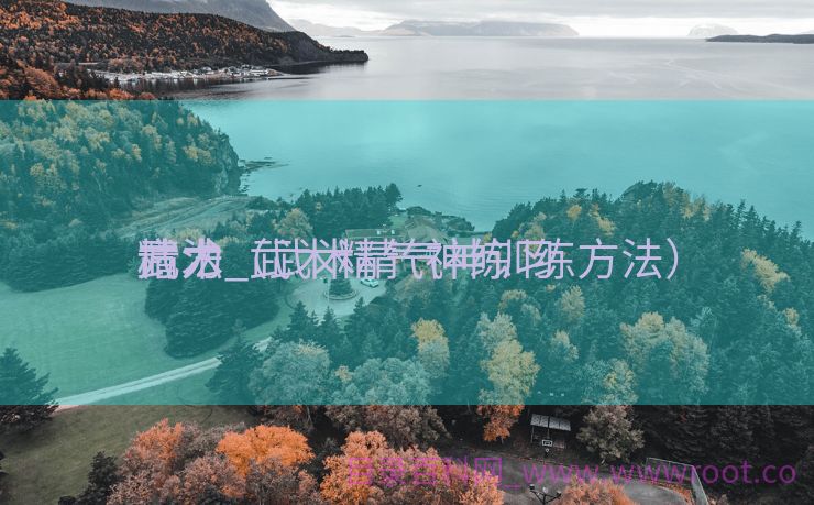 精力
武术_武术精气神练习
方法（武术精气神训练方法）
