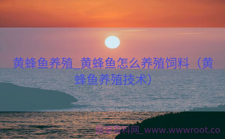 黄蜂鱼养殖_黄蜂鱼怎么养殖饲料（黄蜂鱼养殖技术）