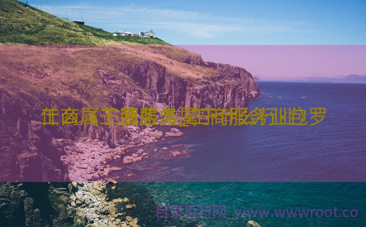 工商属于服务类_工商服务业包罗
什么（工商服务属于什么行业）