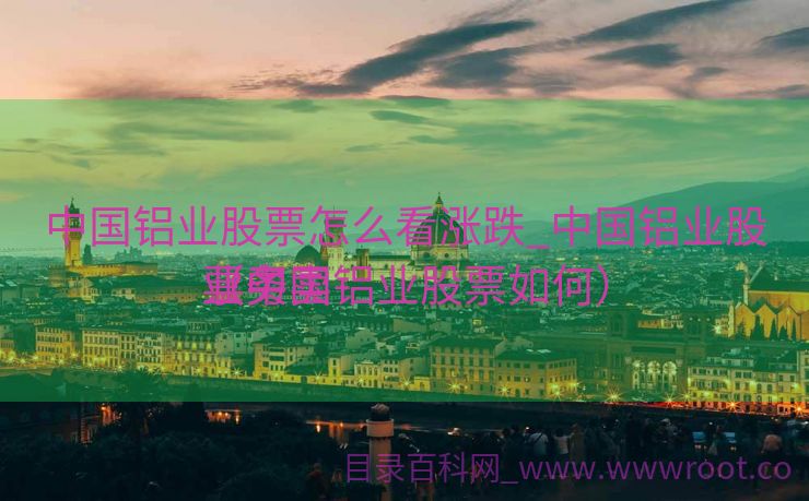 中国铝业股票怎么看涨跌_中国铝业股票买卖
业务
（中国铝业股票如何）