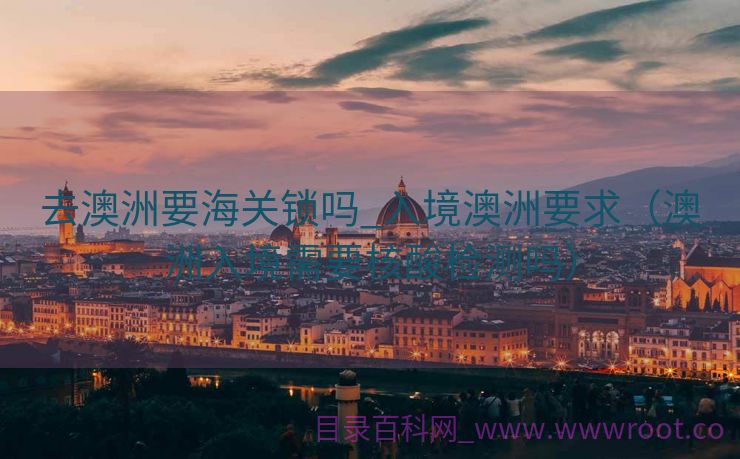 去澳洲要海关锁吗_入境澳洲要求（澳洲入境需要核酸检测吗）