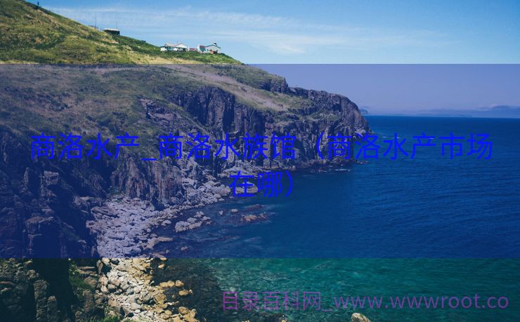 商洛水产_商洛水族馆（商洛水产市场在哪）
