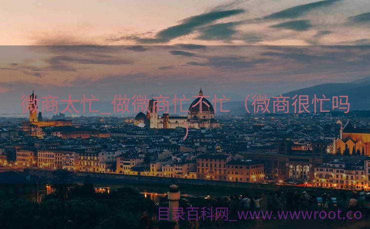 微商太忙_做微商忙不忙（微商很忙吗）