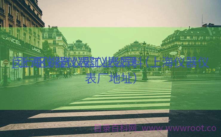 闵行区挑选仪器仪表质料
_上海仪器仪表工业公司（上海仪器仪表厂地址）