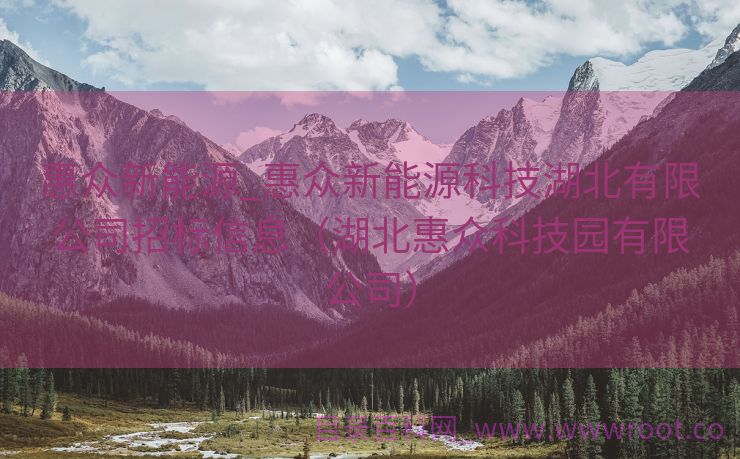 惠众新能源_惠众新能源科技湖北有限公司招标信息（湖北惠众科技园有限公司）