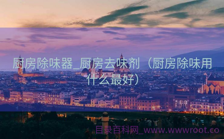 厨房除味器_厨房去味剂（厨房除味用什么最好）