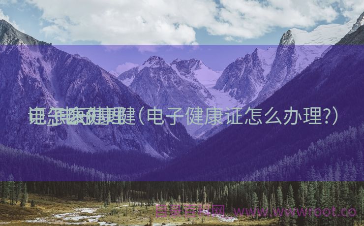 电子康健
证_电子康健
证怎么办理（电子健康证怎么办理?）