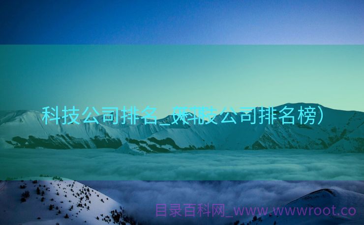科技公司排名_天下
科技公司排名（科技公司排名榜）