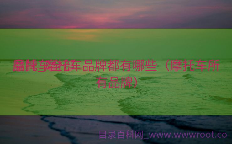 摩托车全部
品牌_摩托车品牌都有哪些（摩托车所有品牌）
