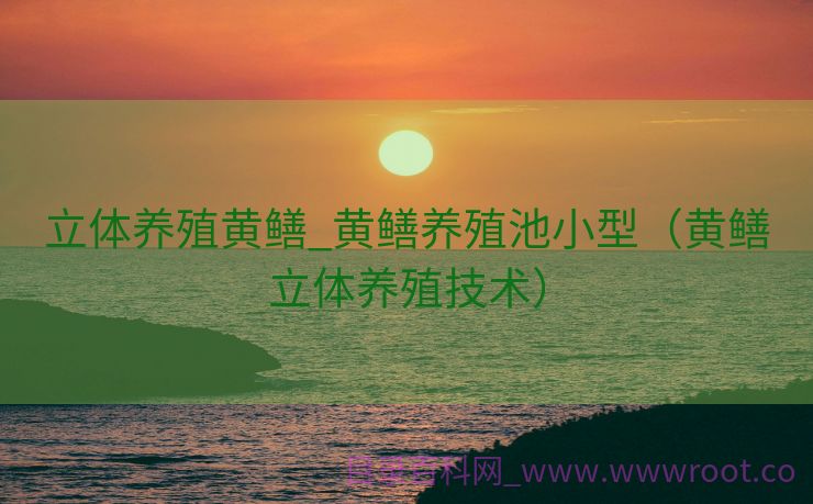 立体养殖黄鳝_黄鳝养殖池小型（黄鳝立体养殖技术）