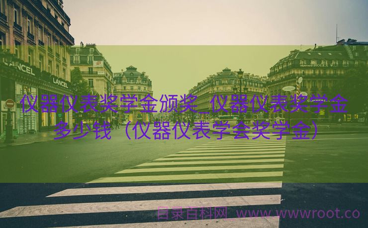 仪器仪表奖学金颁奖_仪器仪表奖学金多少钱（仪器仪表学会奖学金）
