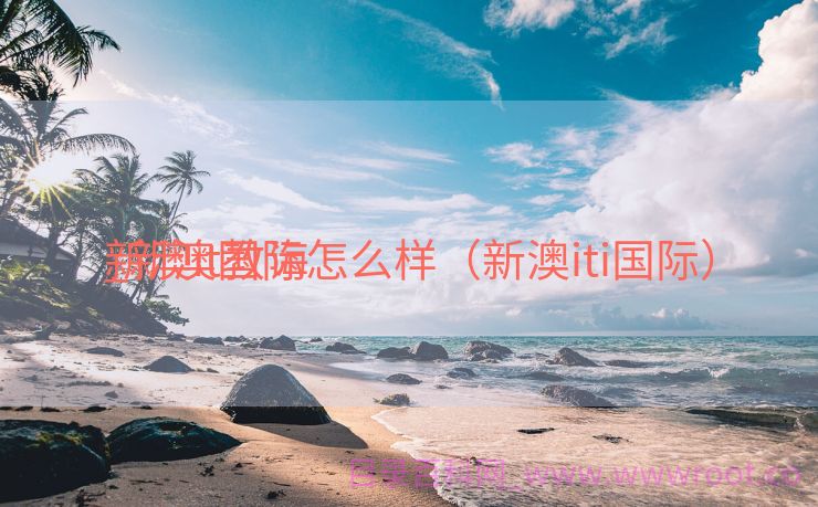 新澳it教诲
_新澳国际怎么样（新澳iti国际）