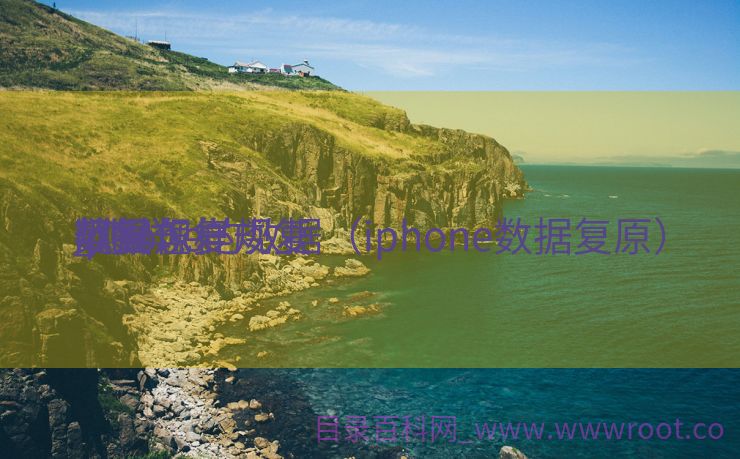 苹果怎样规复
数据规复
_怎样
规复
iphone的数据（iphone数据复原）
