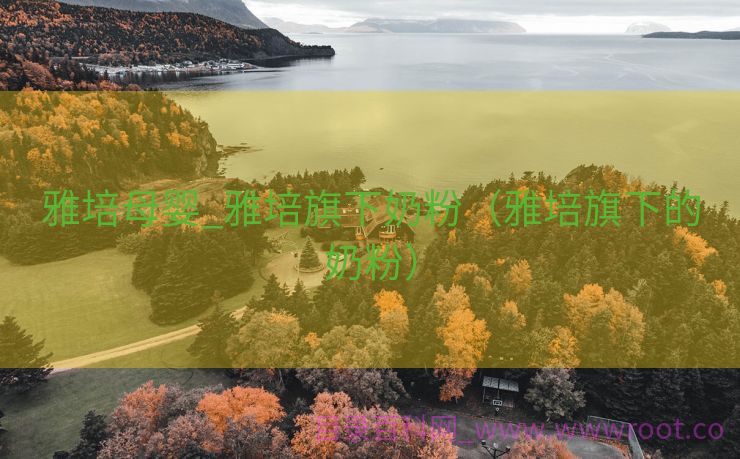 雅培母婴_雅培旗下奶粉（雅培旗下的奶粉）