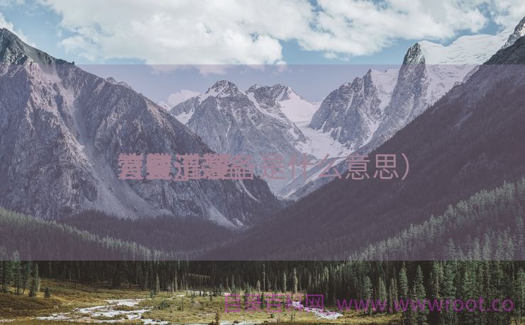 装备
管线干净
方案_装备
管道洗濯
（管道装备是什么意思）