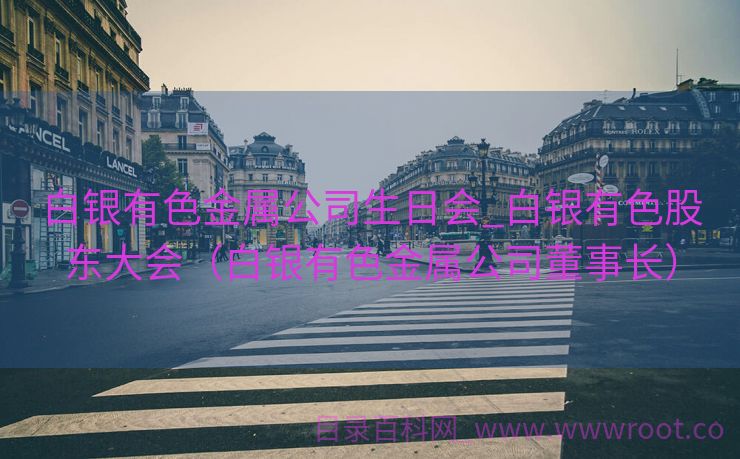 白银有色金属公司生日会_白银有色股东大会（白银有色金属公司董事长）
