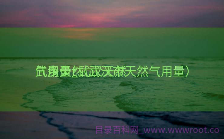 武汉天然

气用量_武汉天然

气多少t（武汉市天然气用量）