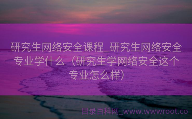 研究生网络安全课程_研究生网络安全专业学什么（研究生学网络安全这个专业怎么样）