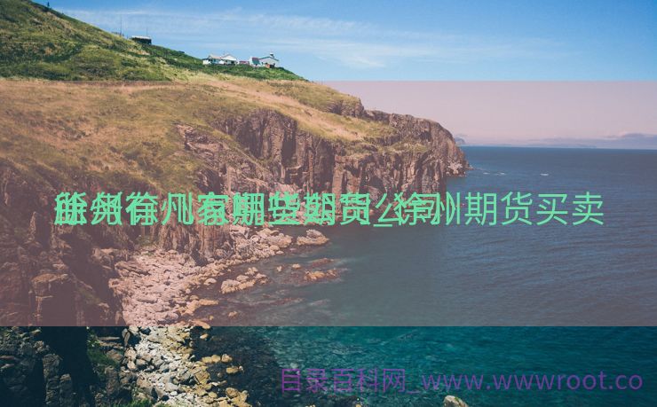 徐州有几家期货公司_徐州期货买卖
业务
所（徐州有哪些期货公司）
