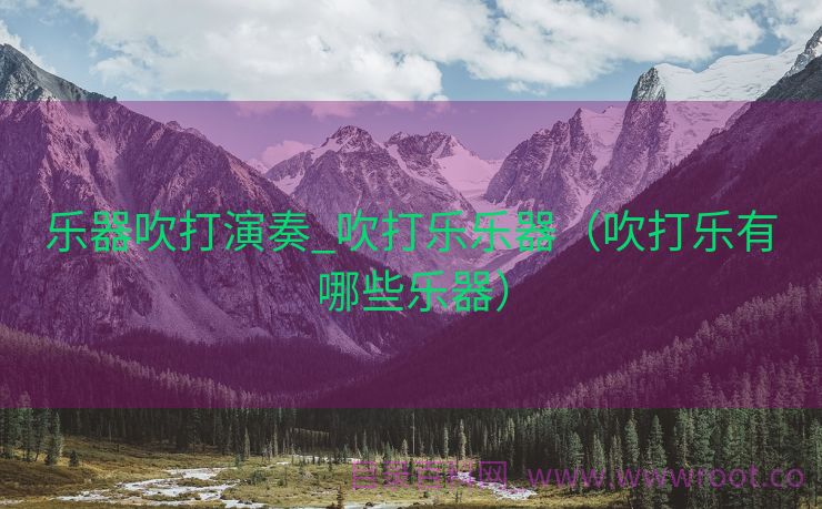 乐器吹打演奏_吹打乐乐器（吹打乐有哪些乐器）