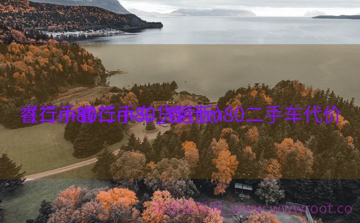 睿行m80二手车_睿行m80二手车代价
（二手睿行m80货运版）