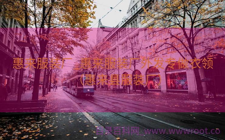 惠来服装厂_惠来服装厂外发专做衣领（惠来县服装厂）