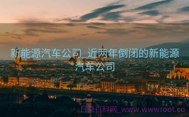 新能源汽车公司_近两年倒闭的新能源汽车公司