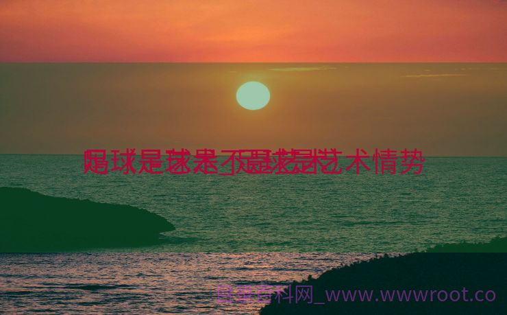 足球是艺术_足球是艺术情势
吗（足球是不是艺术）