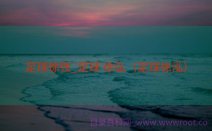 足球徐弢_足球 徐弘（足球徐泓）