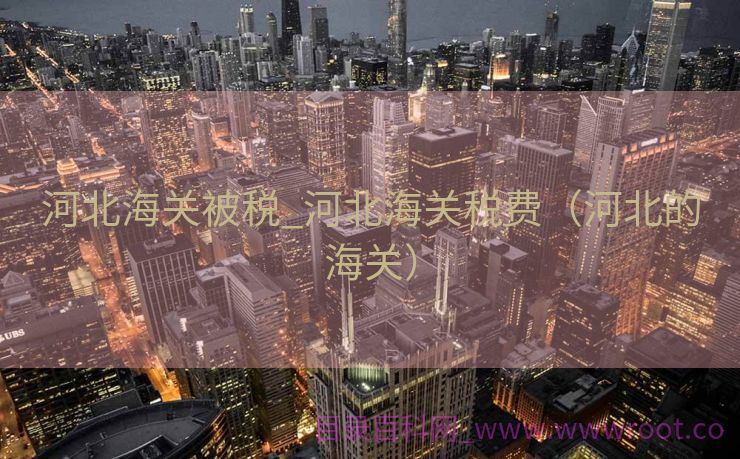河北海关被税_河北海关税费（河北的海关）