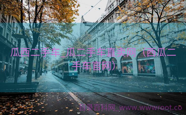瓜西二手车_瓜二手车直卖网（西瓜二手车官网）