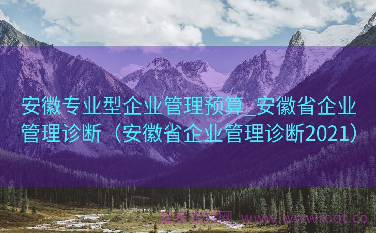 安徽专业型企业管理预算_安徽省企业管理诊断（安徽省企业管理诊断2021）