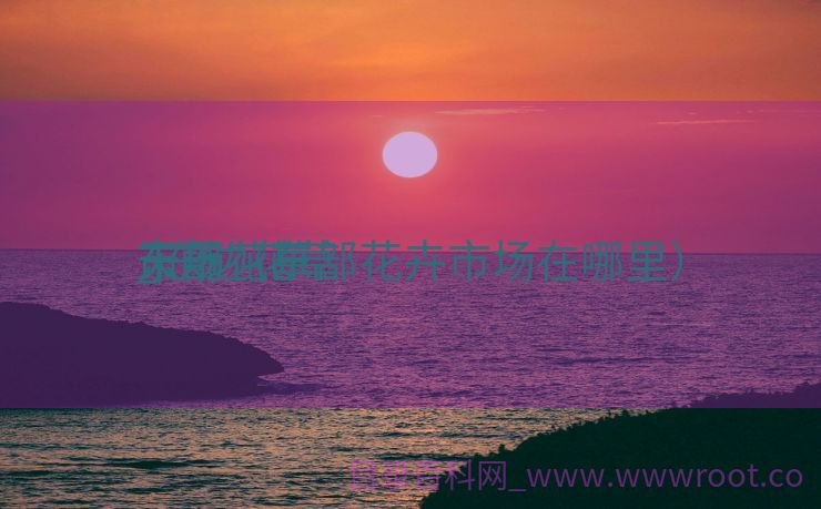 东部花草
天下
_东边花草
市场（东部花卉市场在哪里）