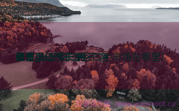 长宁区二手干净
装备
租赁_长宁区二手干净
装备
租赁电话（长宁区二手市场在哪里）