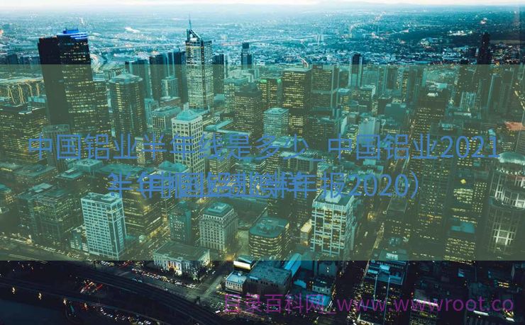 中国铝业半年线是多少_中国铝业2021半年报业绩怎样
?（中国铝业半年报2020）
