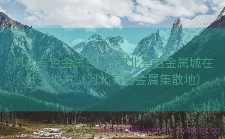 河北有色金属合金_河北有色金属城在什么地方（河北有色金属集散地）